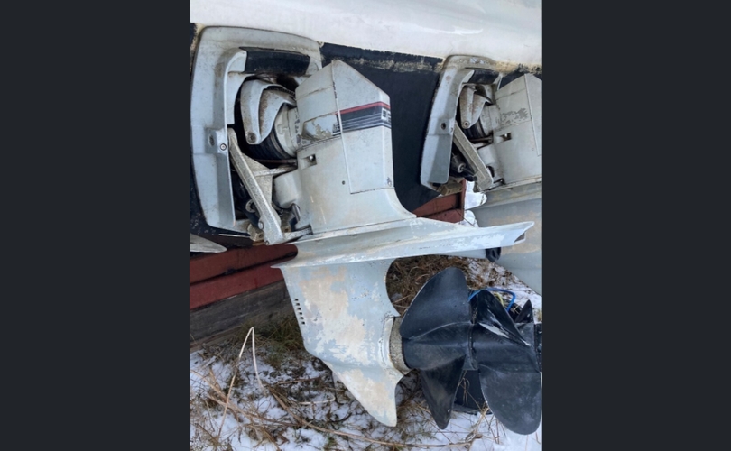 Marino Barracuda Fly-kuva-5